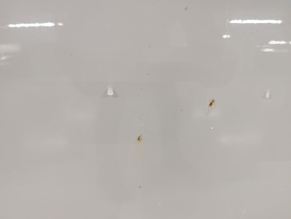 Skoda Yeti 1,2 TSi 105 Active DSG 5d