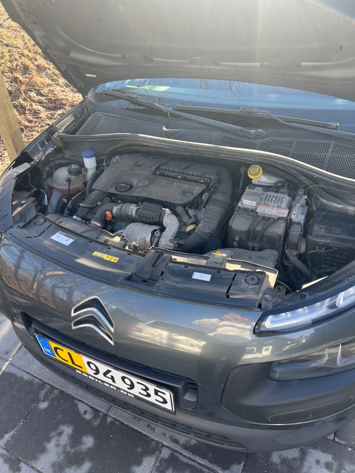 Citroën C4 Cactus 1,6 BlueHDi 100 Challenge Van 5d