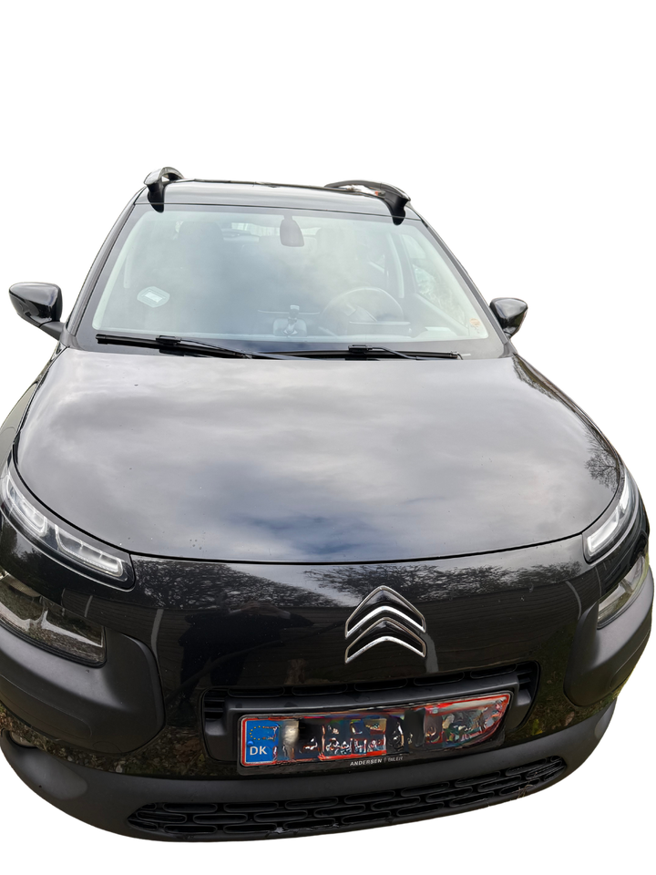 Citroën C4 Cactus 1,6 BlueHDi 100 Shine 5d