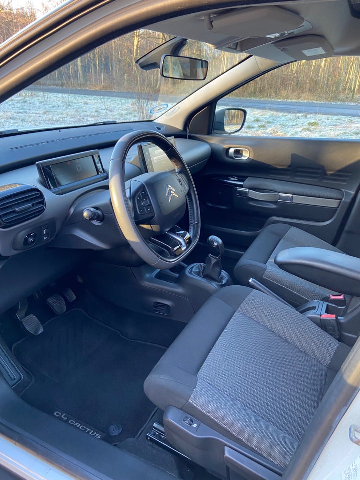 Citroën C4 Cactus 1,6 BlueHDi 100 SkyLine 5d