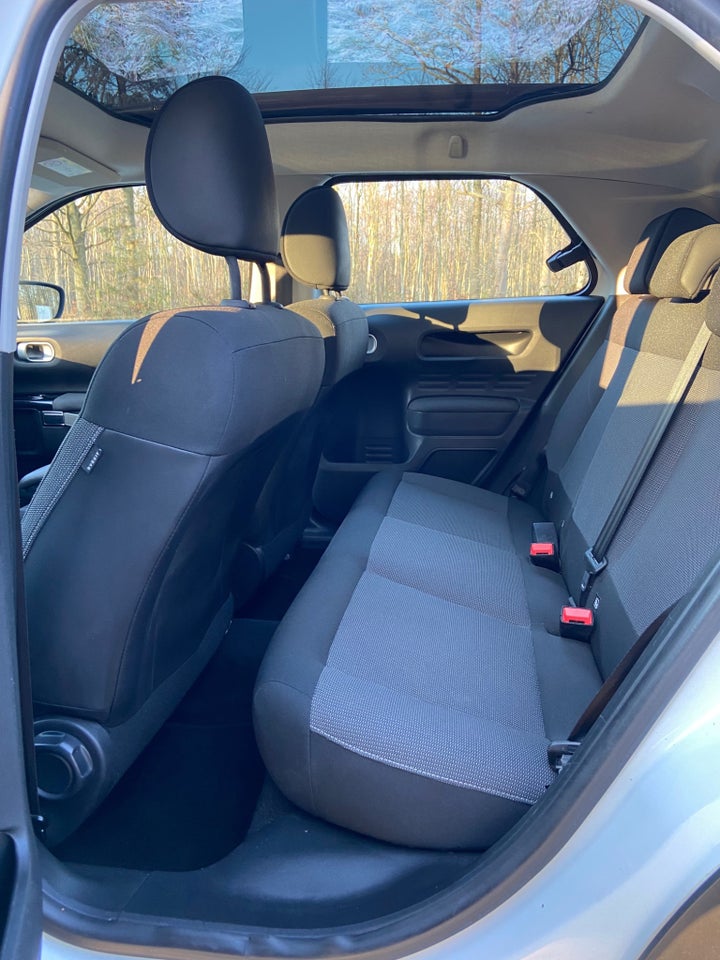 Citroën C4 Cactus 1,6 BlueHDi 100 SkyLine 5d