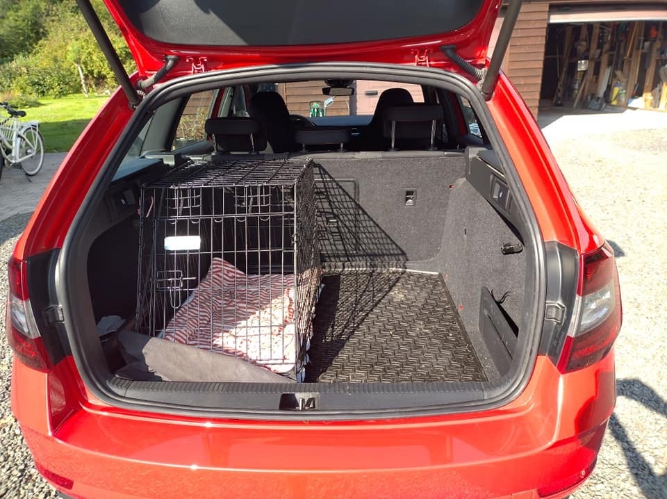 Skoda Octavia 2,0 TDi 150 Celebration+ Combi DSG 5d