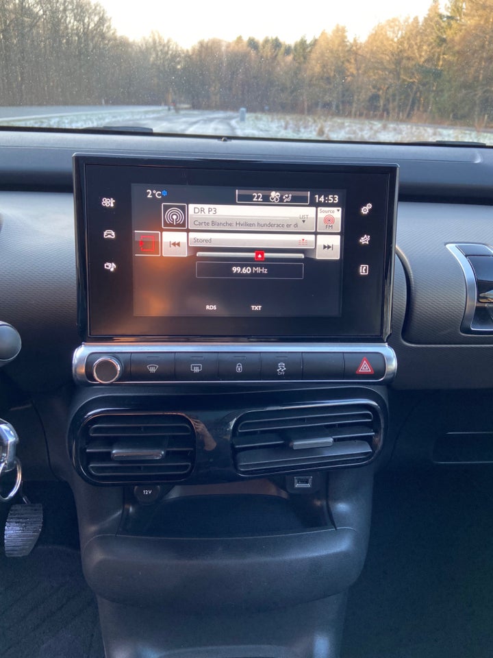 Citroën C4 Cactus 1,6 BlueHDi 100 SkyLine 5d