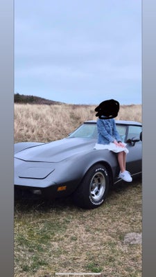 Chevrolet Corvette 5,7 V8 Targa Anniversary 2d