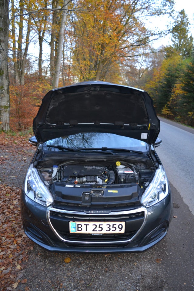 Peugeot 208 1,6 BlueHDi 100 Envy Sky 5d