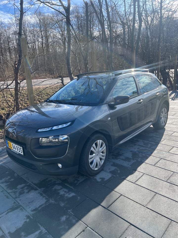 Citroën C4 Cactus 1,6 BlueHDi 100 Challenge Van 5d