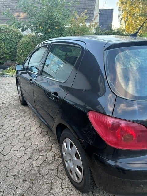 Peugeot 307 1,6 Perfection 5d
