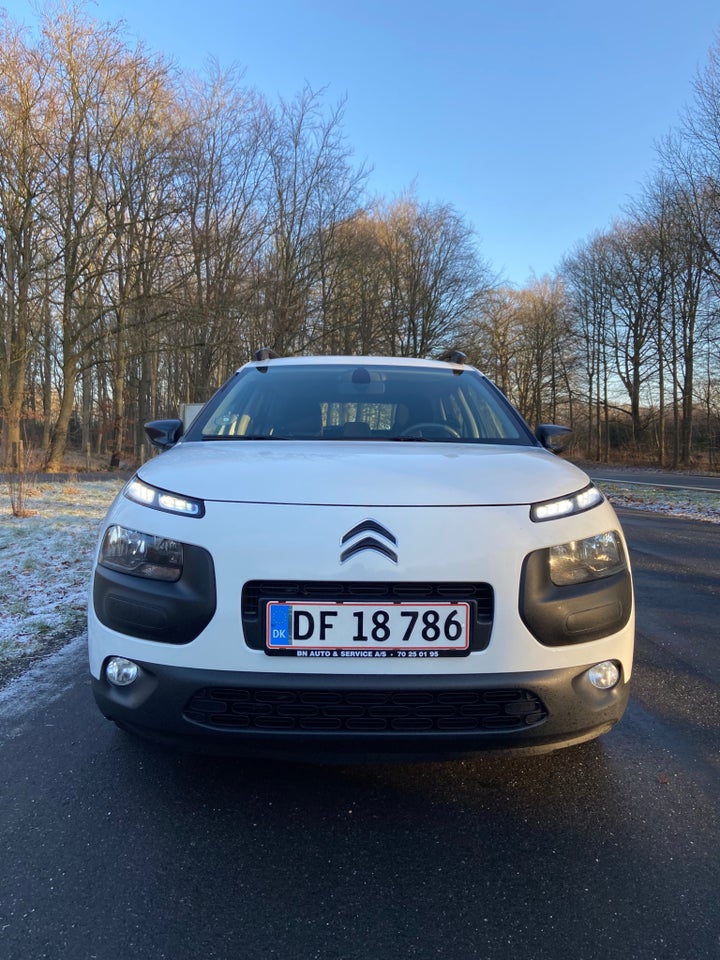 Citroën C4 Cactus 1,6 BlueHDi 100 SkyLine 5d