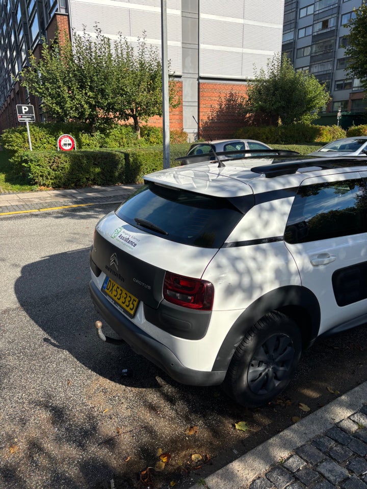 Citroën C4 Cactus 1,6 BlueHDi 100 Challenge Van 5d