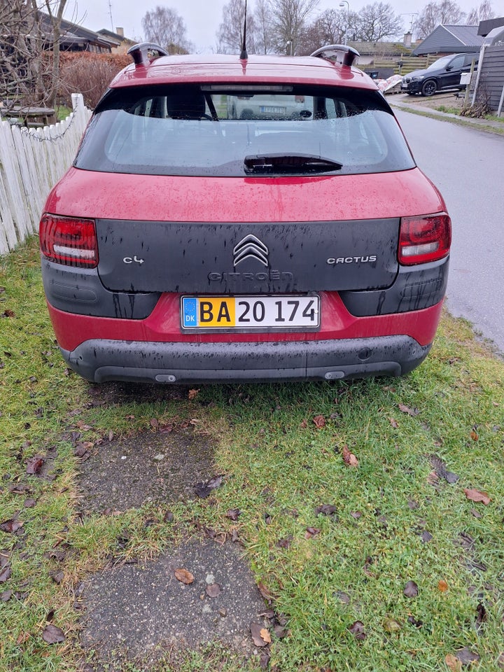 Citroën C4 Cactus 1,6 BlueHDi 100 Challenge Van 5d