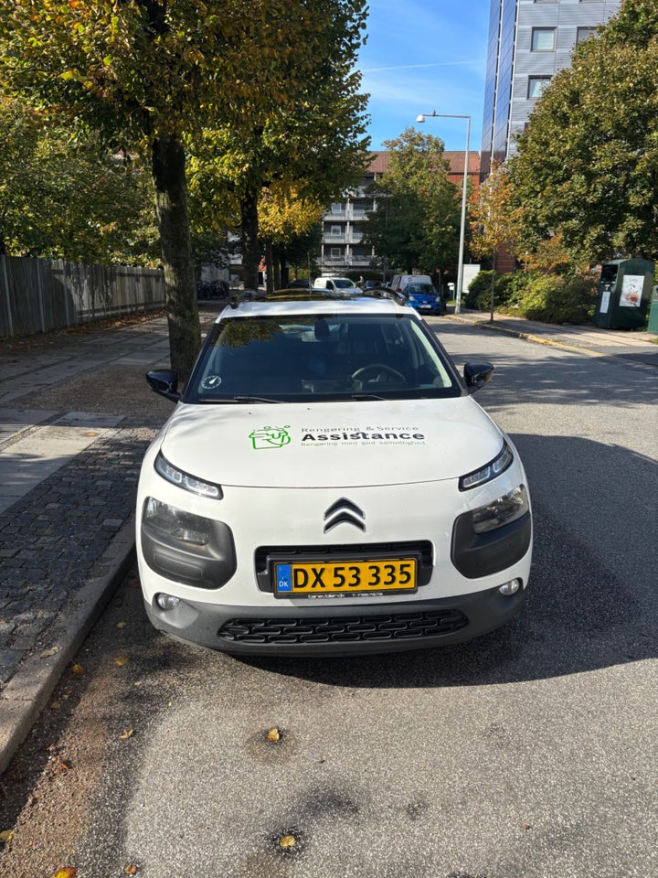 Citroën C4 Cactus 1,6 BlueHDi 100 Challenge Van 5d