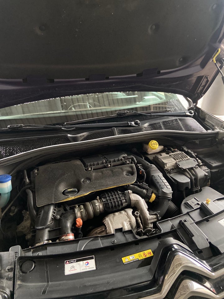 Citroën C4 Cactus 1,6 BlueHDi 100 SkyLine 5d