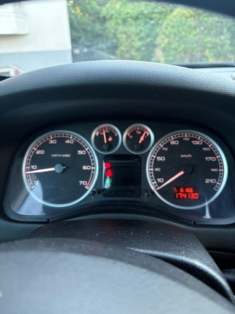Peugeot 307 1,6 Perfection 5d