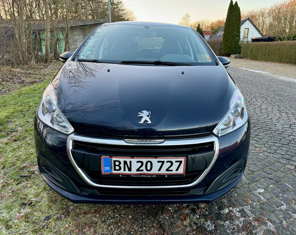 Peugeot 208 1,6 BlueHDi 100 Envy Sky 5d