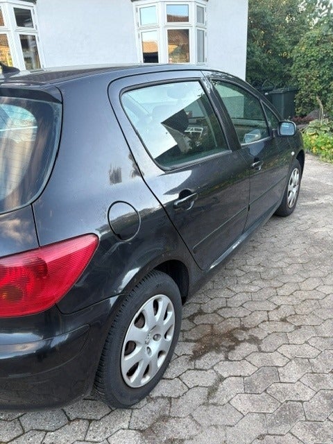 Peugeot 307 1,6 Perfection 5d