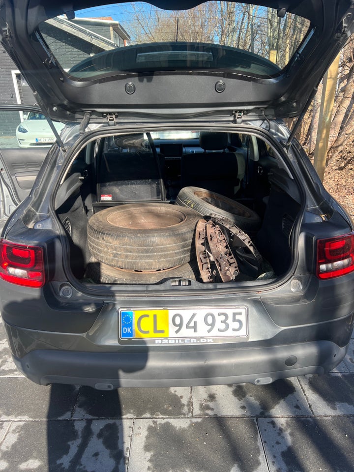 Citroën C4 Cactus 1,6 BlueHDi 100 Challenge Van 5d