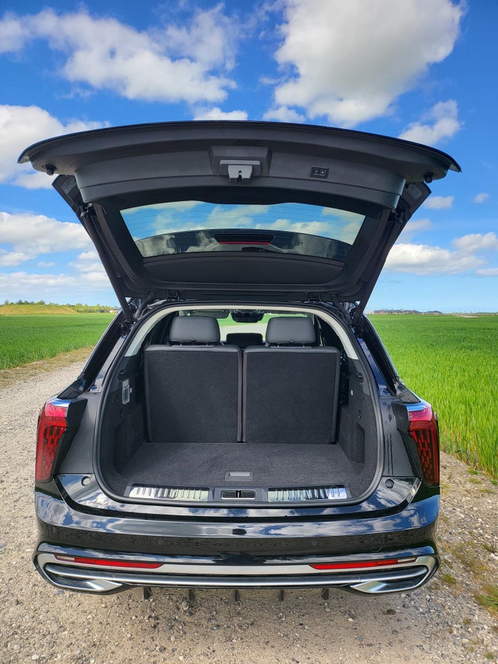 Hongqi E-HS9 99 Premium 5d