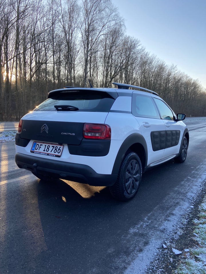 Citroën C4 Cactus 1,6 BlueHDi 100 SkyLine 5d
