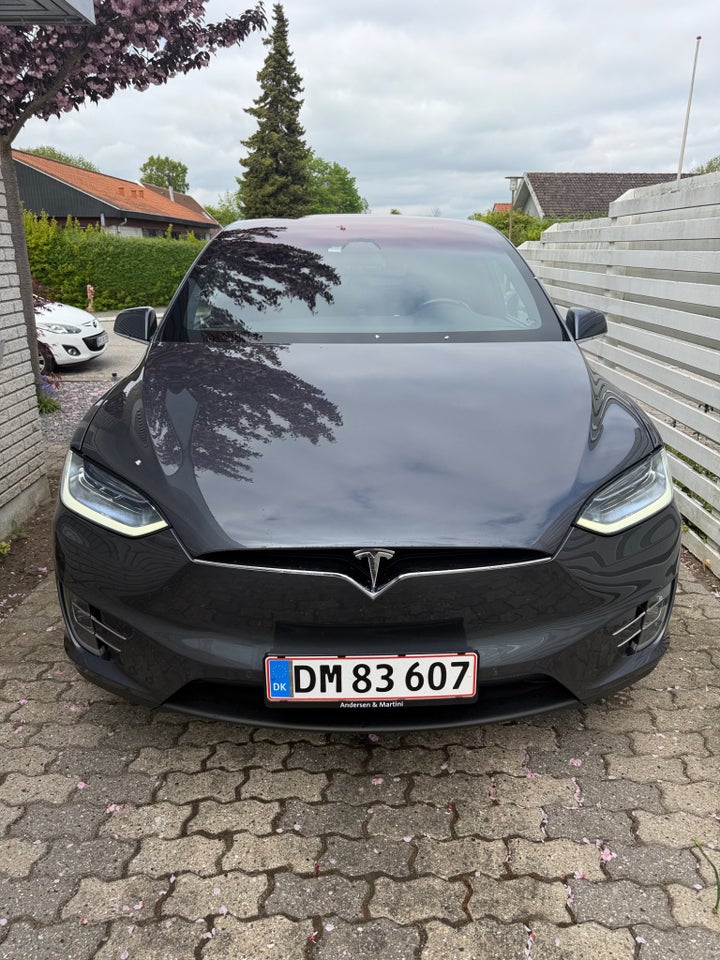 Tesla Model X 100D 5d