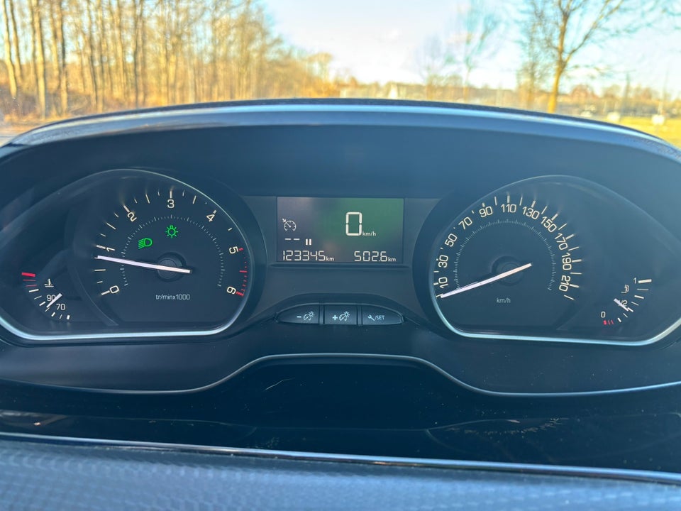 Peugeot 208 1,6 BlueHDi 100 Selection Sky 5d