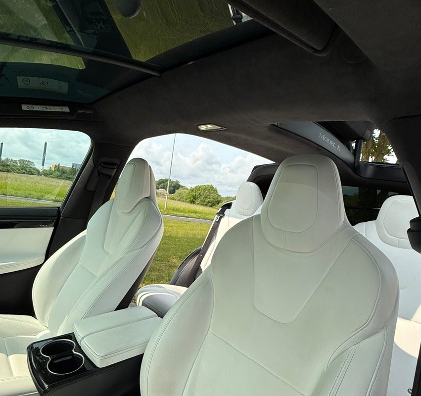 Tesla Model X 100D 5d