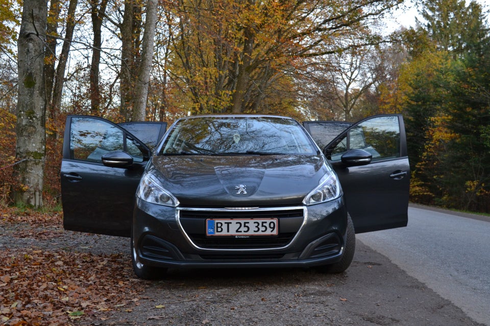 Peugeot 208 1,6 BlueHDi 100 Envy Sky 5d