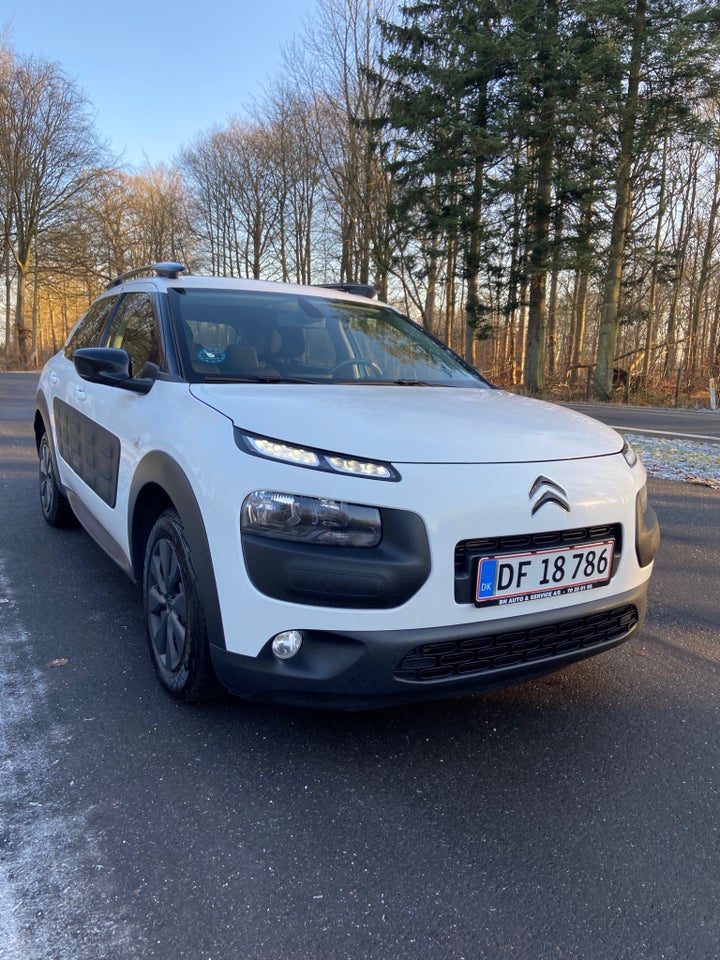 Citroën C4 Cactus 1,6 BlueHDi 100 SkyLine 5d