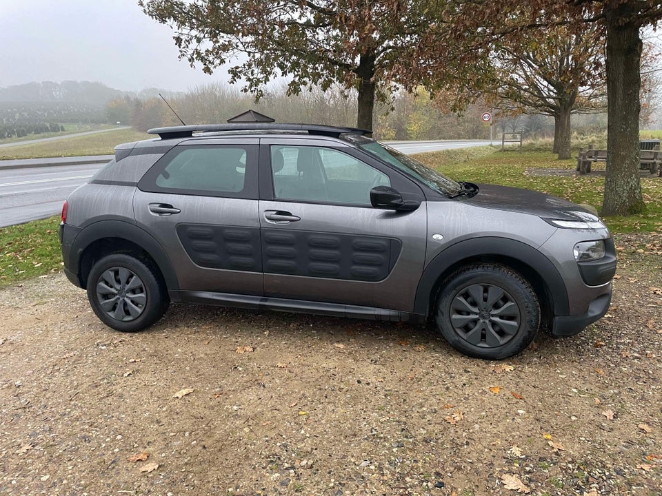 Citroën C4 Cactus 1,6 BlueHDi 100 Iconic 5d