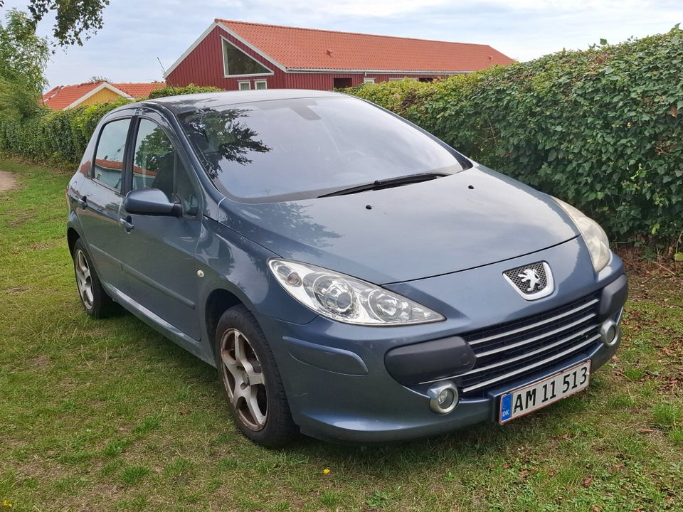 Peugeot 307 1,6 Edition 5d