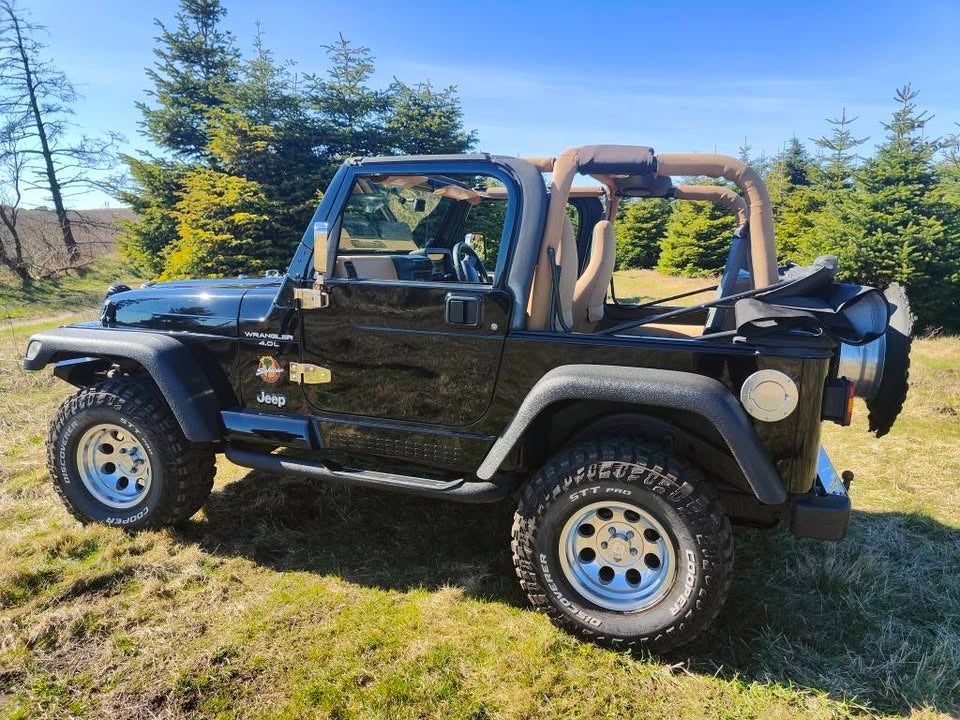 Jeep Wrangler 4,0 4x4 3d