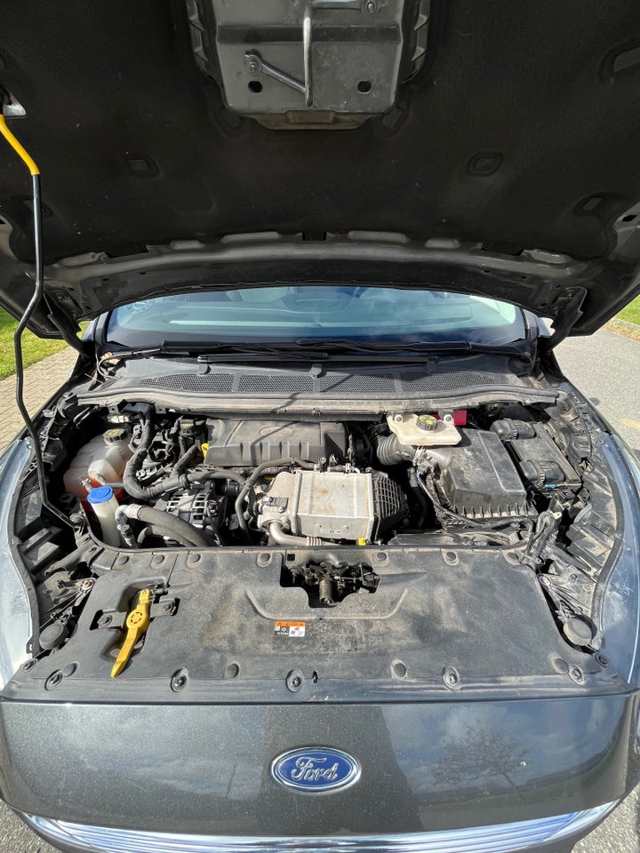 Ford S-MAX 2,0 EcoBlue Titanium aut. 7prs 5d