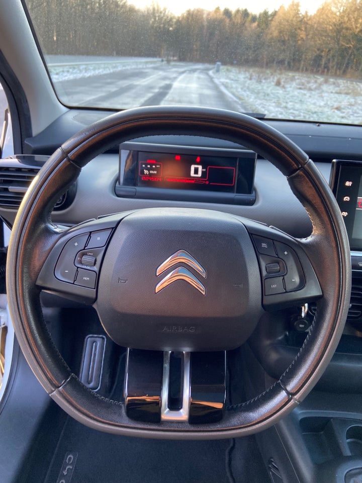 Citroën C4 Cactus 1,6 BlueHDi 100 SkyLine 5d