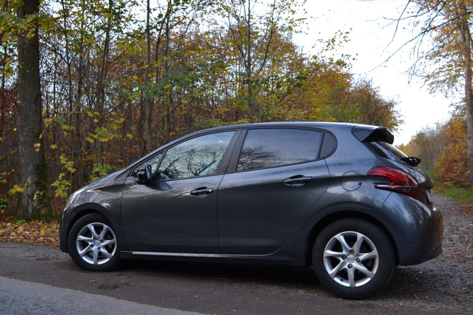 Peugeot 208 1,6 BlueHDi 100 Envy Sky 5d