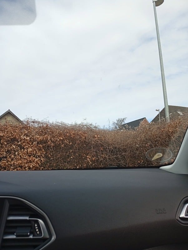 Peugeot 308 1,5 BlueHDi 130 Allure+ Sky SW 5d