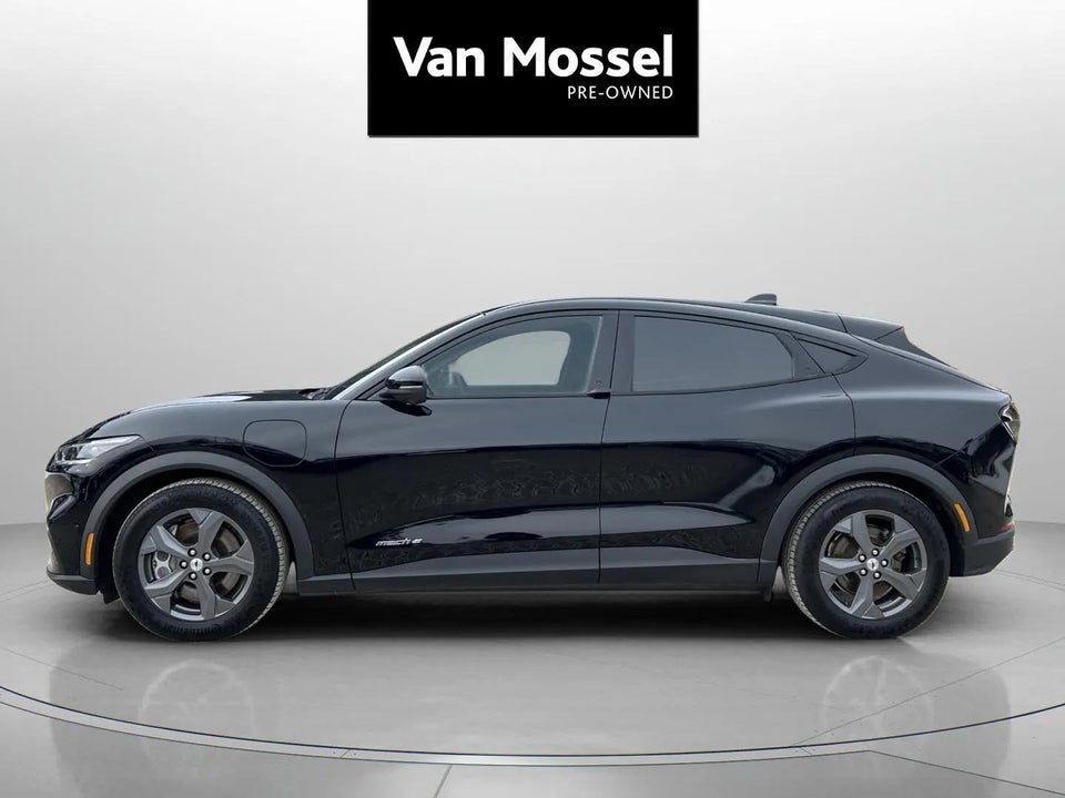 Ford Mustang Mach-E 68 Standard Range 5d