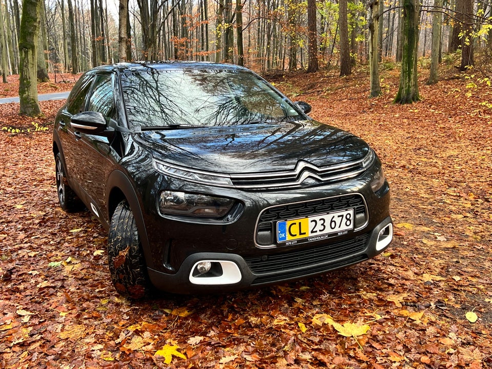 Citroën C4 Cactus 1,5 BlueHDi 100 SkyLine Van 5d