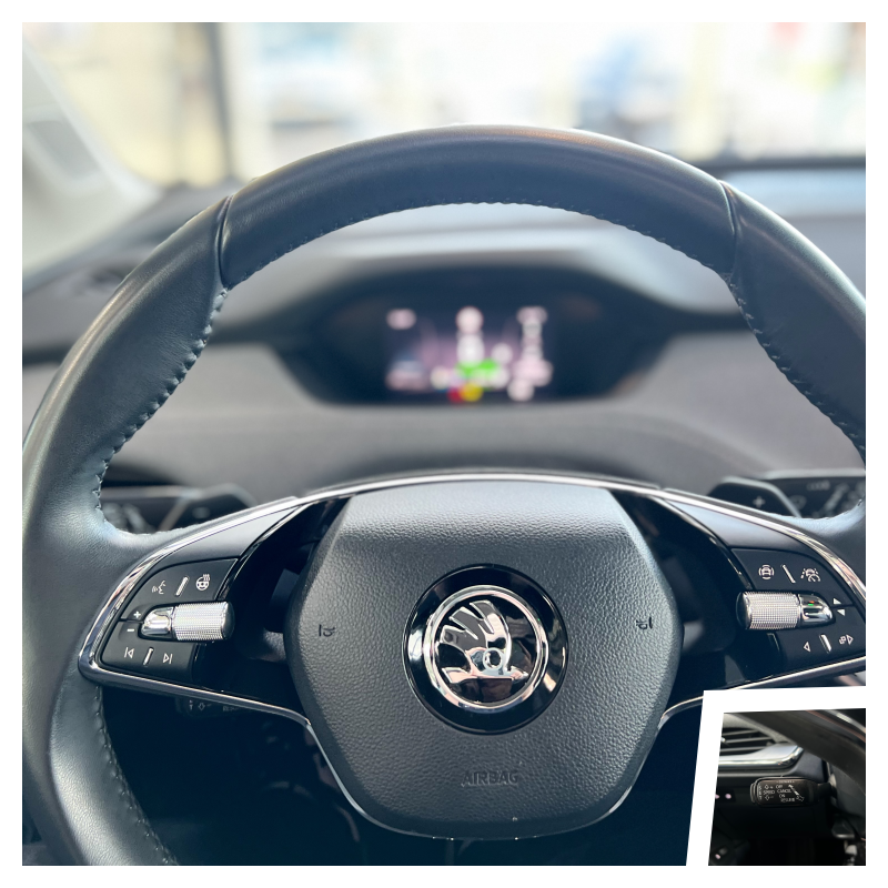 Skoda Enyaq 80x iV Loft 5d