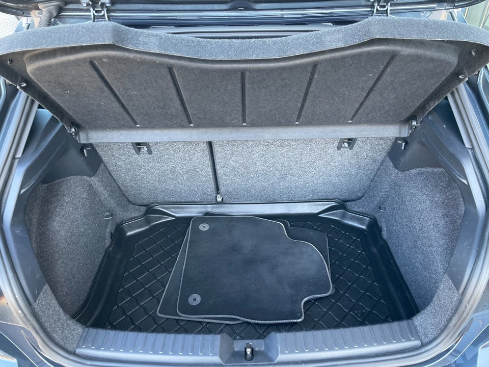 Seat Ibiza 1,0 TSi 110 Xcellence DSG 5d