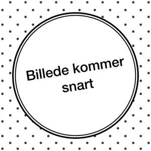 Renault Clio IV 0,9 TCe 90 Expression 5d