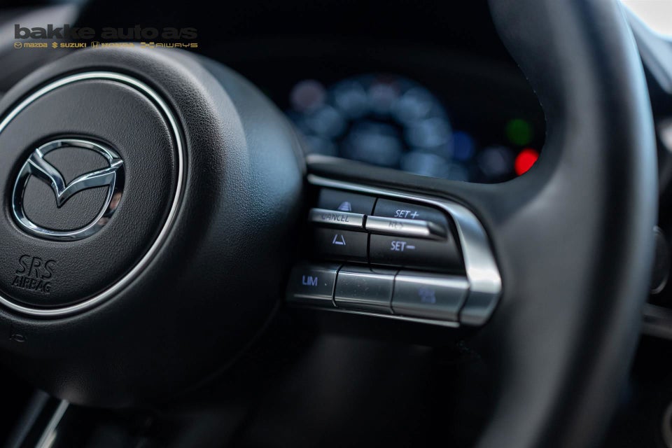 Mazda MX-30 0,8 e-SkyActiv R-EV Makoto 5d