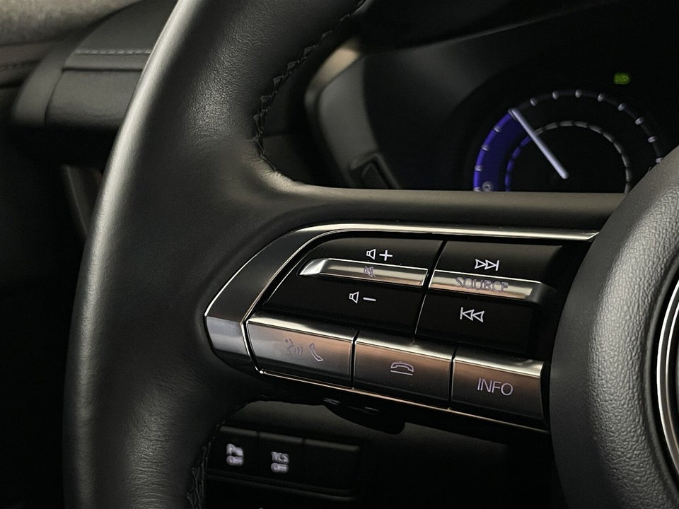 Mazda MX-30 e-SkyActiv Makoto 5d