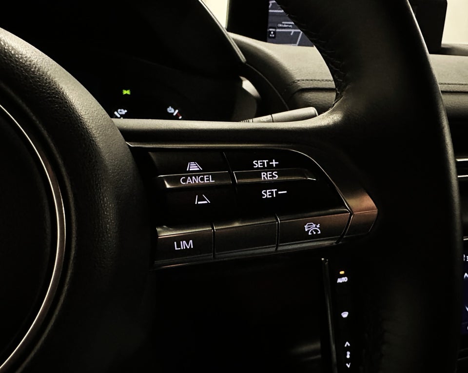 Mazda MX-30 e-SkyActiv First Edition 5d