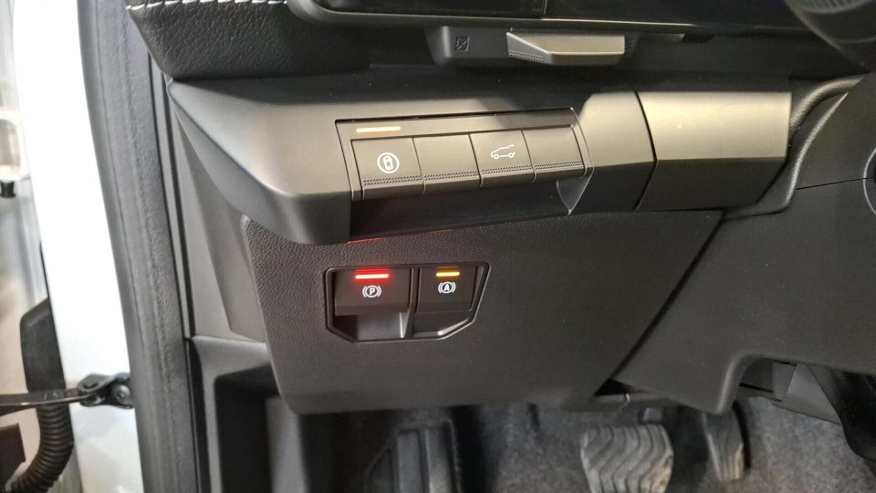 Renault Scenic E-Tech 87 Iconic 5d