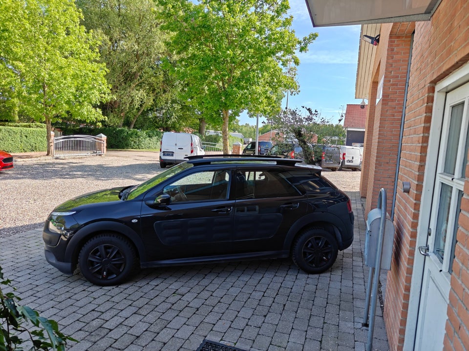 Citroën C4 Cactus 1,6 BlueHDi 100 Shine Van 5d