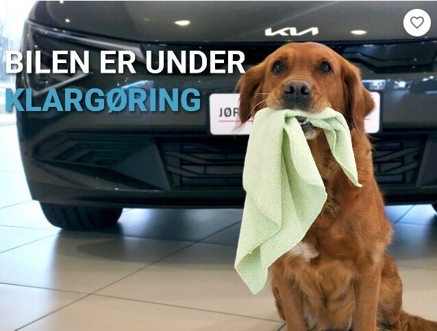 Kia e-Niro 64 Advance 5d