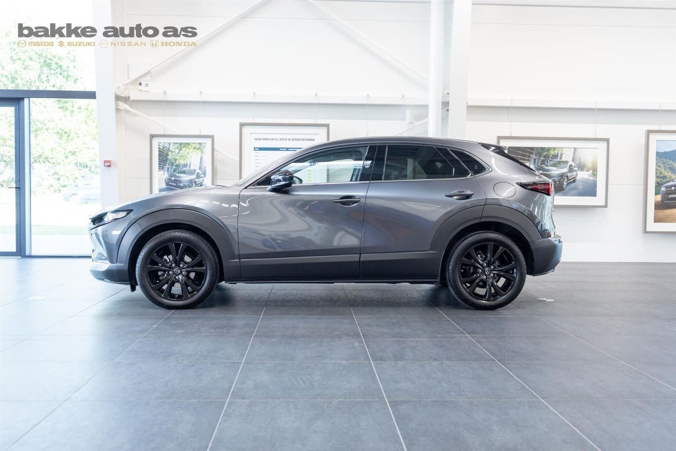 Mazda CX-30 2,5 e-SkyActiv-G 140 Nagisa aut. 5d