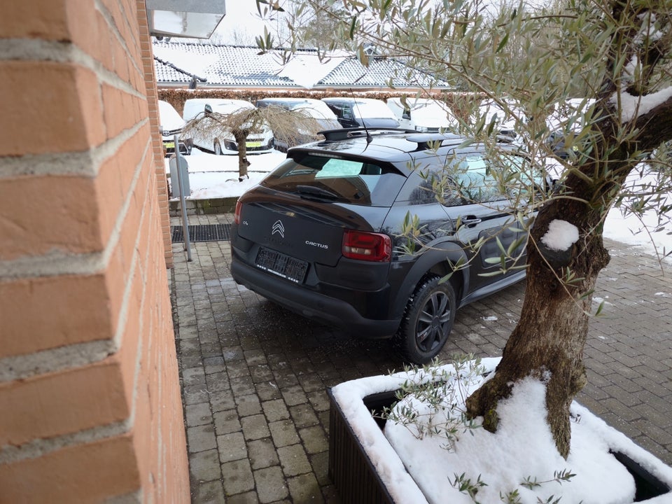 Citroën C4 Cactus 1,6 BlueHDi 100 Feel Van 5d