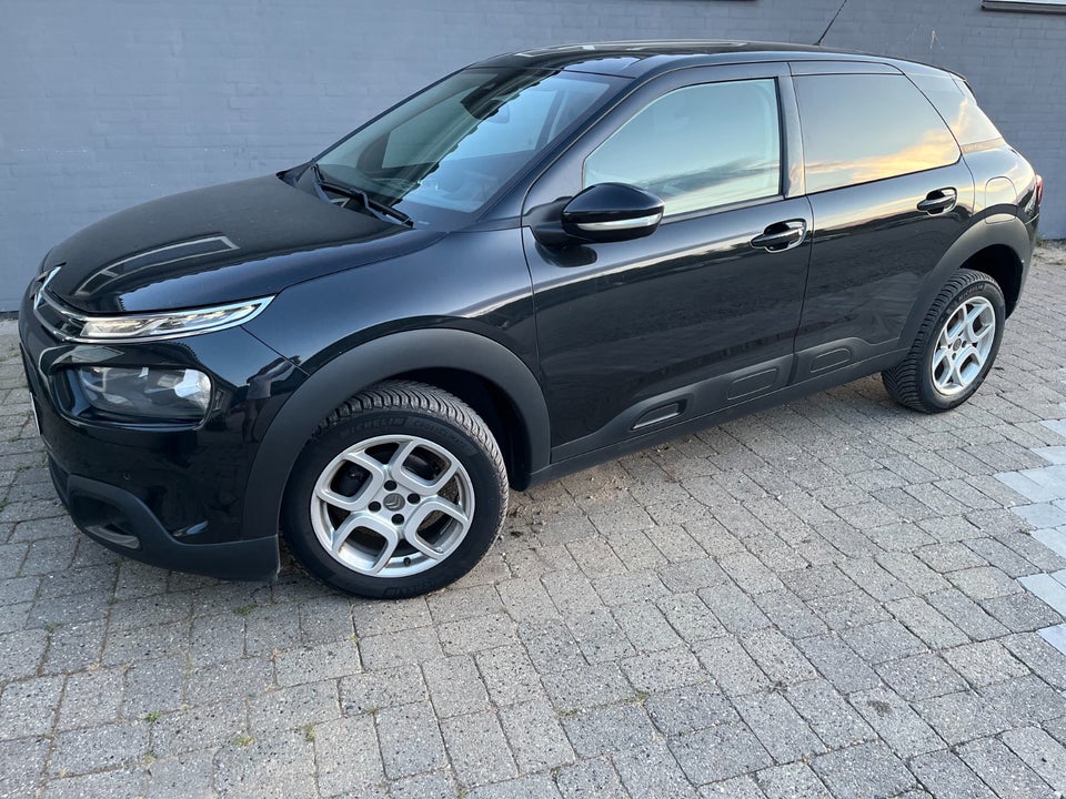 Citroën C4 Cactus 1,2 PureTech 110 SkyLine 5d