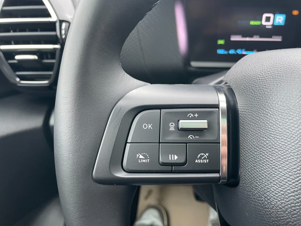 Citroën ë-C4 X 50 Palais Sky 4d