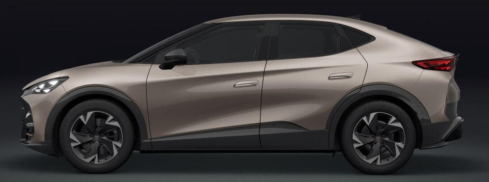 Cupra Tavascan 77  5d